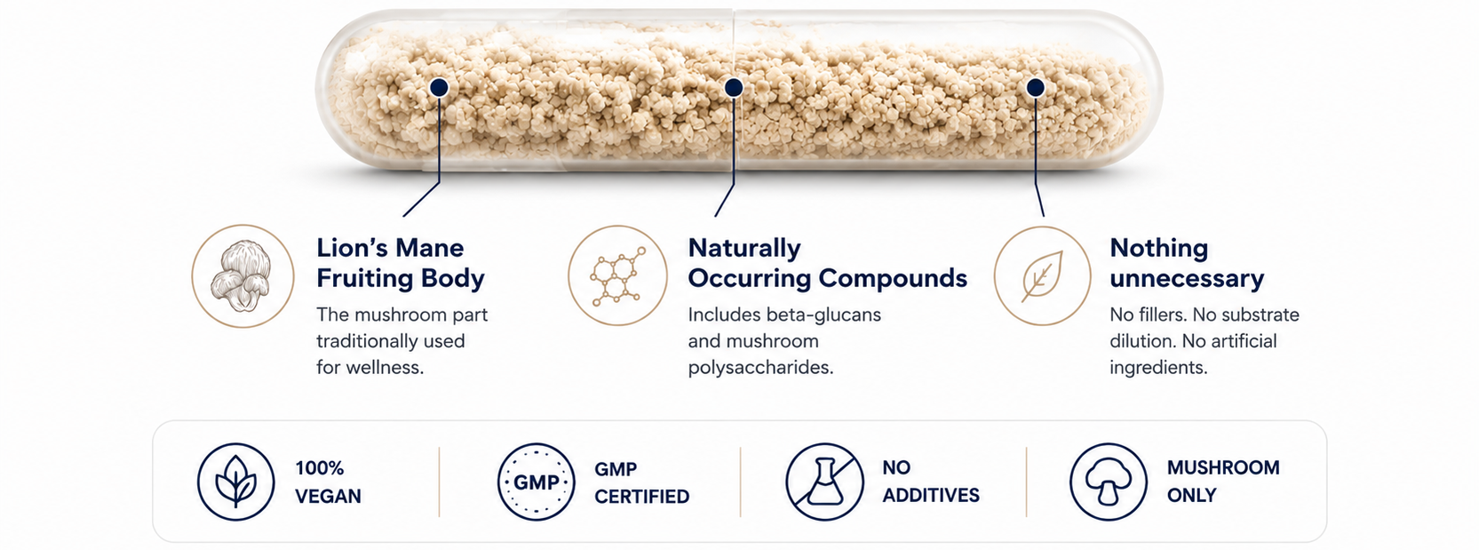 Lion's Mane formula graphic showing the no-fillers section